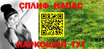прущие грибы Ярославль