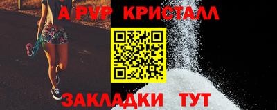 прущие грибы Ярославль