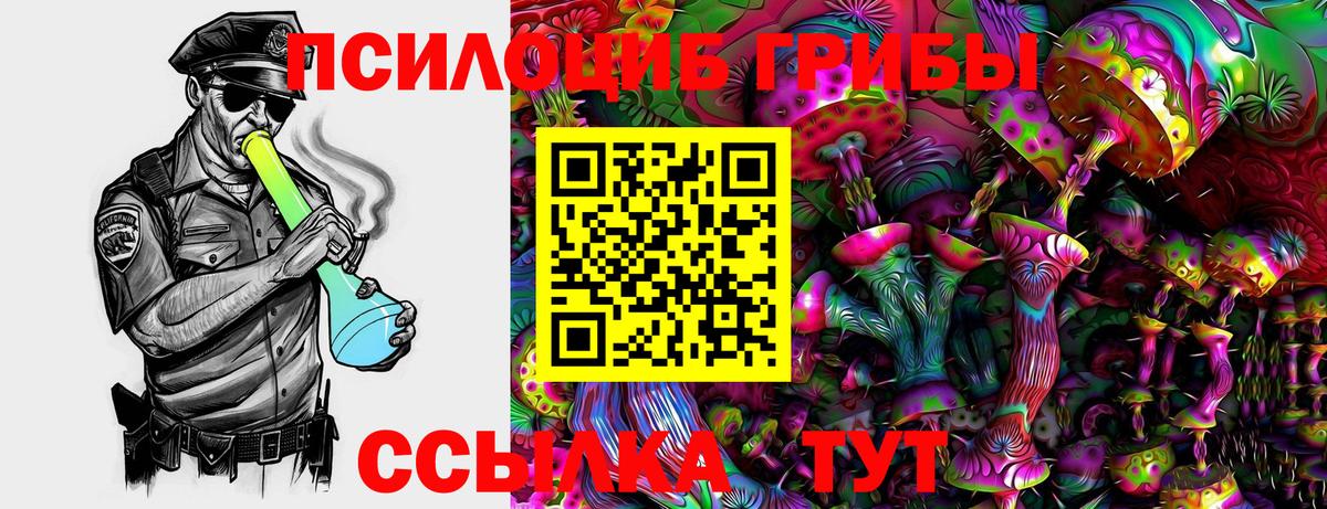 Ачинск  Галлюциногенные грибы Psilocybine cubensis  Вход с VPN 